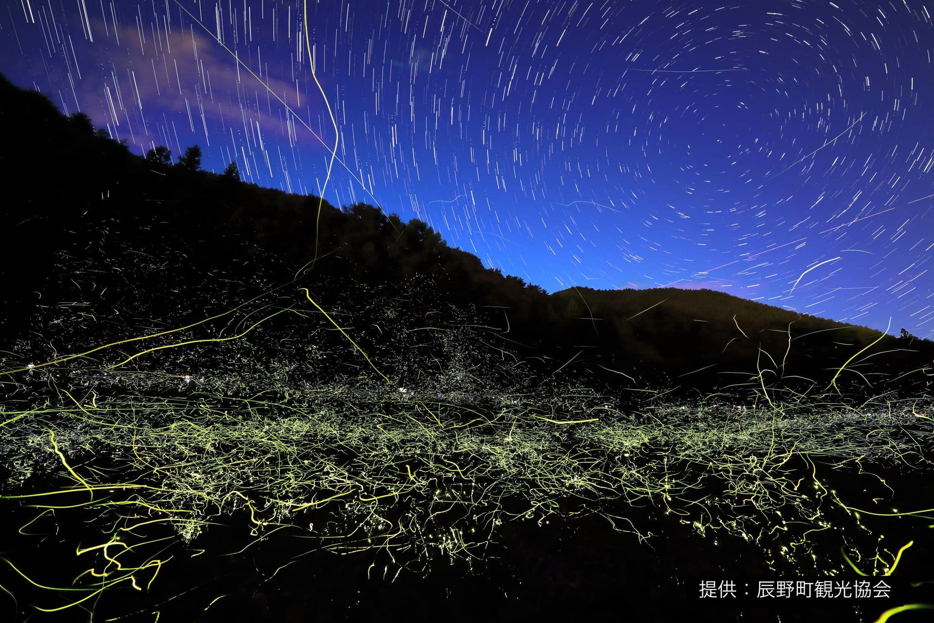 長野県辰野町のゲンジボタルと星空(提供:辰野町観光協会)